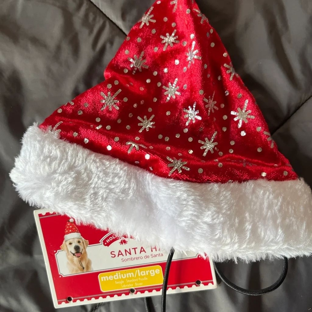 Pet Christmas hat